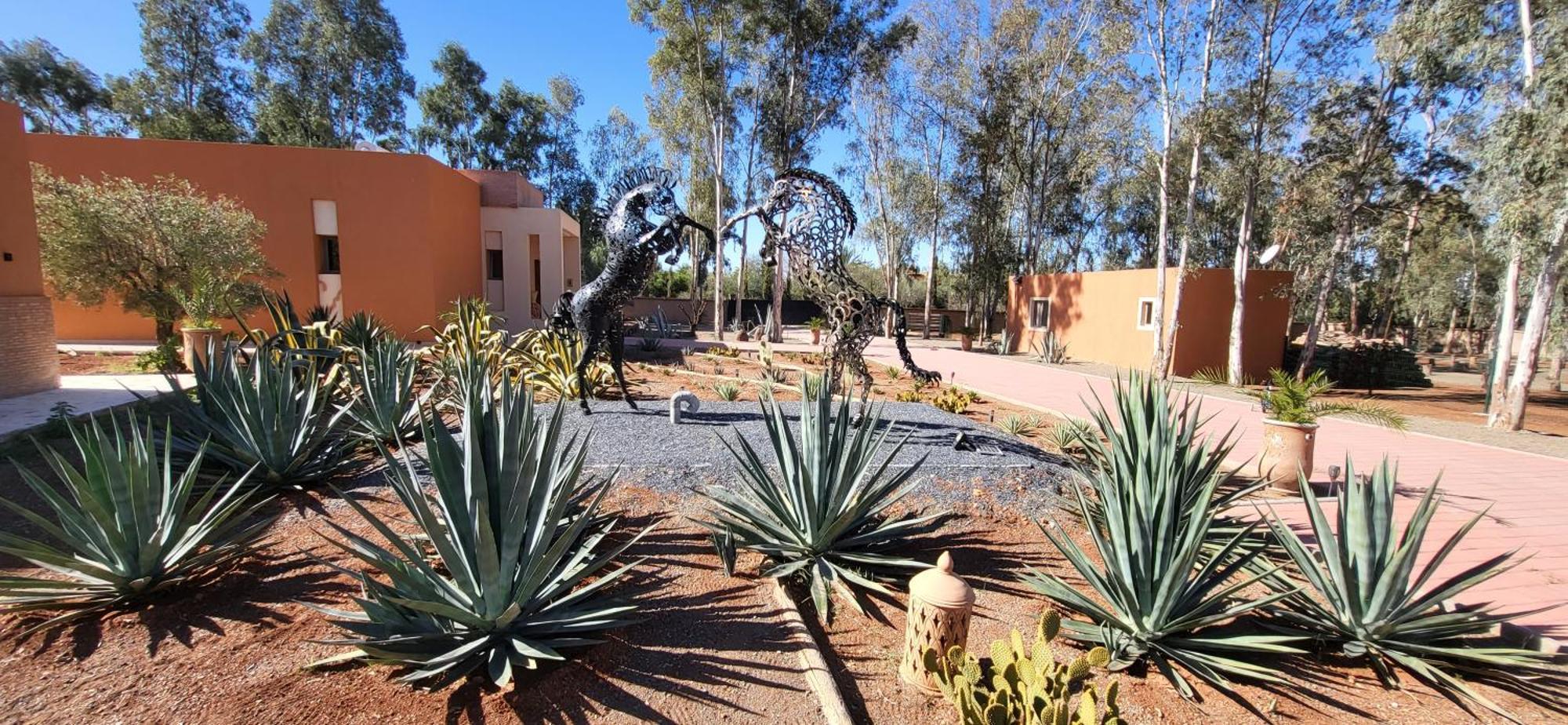 Le Jardin De Jeanne Villa Marrakesh Eksteriør bilde